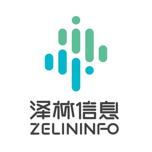 泽林信息咨询 专业筑桥，赋能企业决策未来