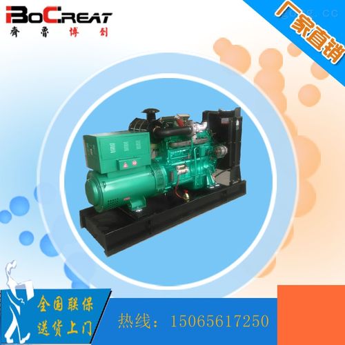 产品库 电力设备 发电设备 柴油发电机组 bc75gf 工厂工地养殖场用